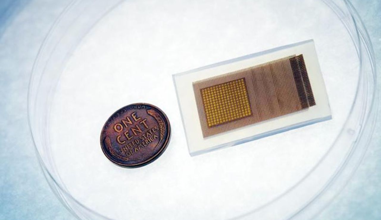 El parche que monitoriza el flujo sanguíneo cerebral