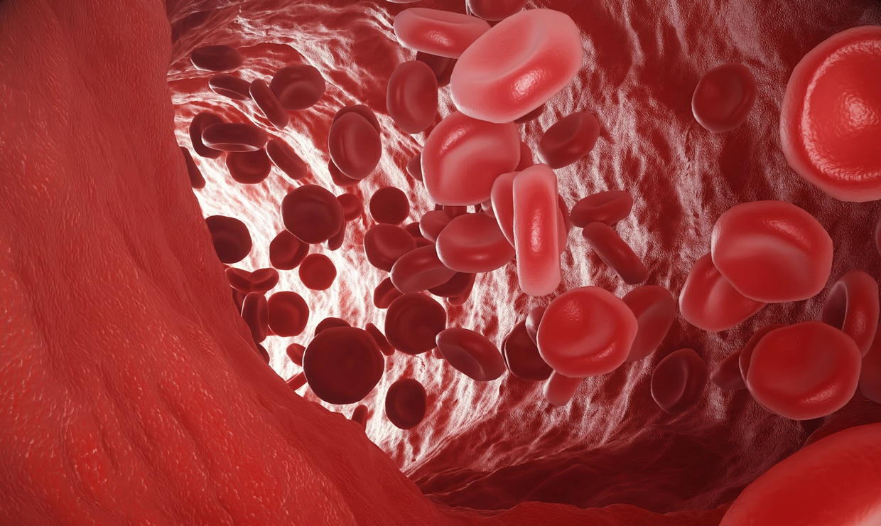 El ácido bempedoico reduce el riesgo cardiovascular sin aumentar la incidencia de diabetes
