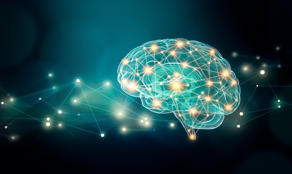 La estimulación con luz y sonido ayuda a regenerar la materia blanca del cerebro