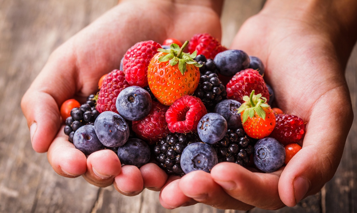 Un compuesto presente en nueces y frutos rojos, potencial agente terapéutico frente a mieloma múltiple